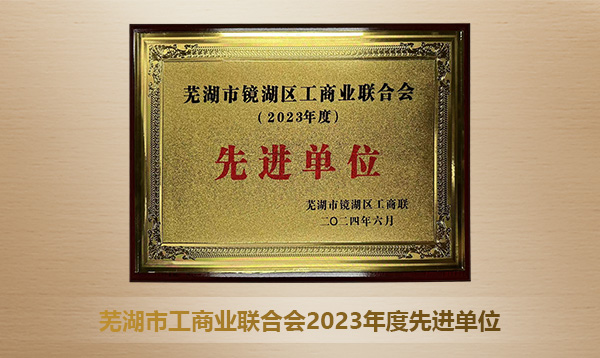 芜湖市工商业联合会2023年度先进单位